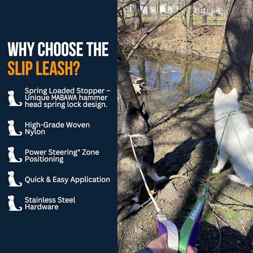 Dog Anti Slip Leash 5FT with Metal Stopper (Purple / 5.6FT)