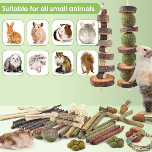 70PCS Rabbit Chew Toys (70)