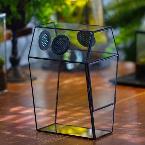 Gothic Glass Enclosure for Jumping Spider