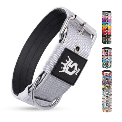 Heavy Duty Thick Dog Collar with Metal Buckle for Large Dogs (L – Fits Neck 18.9"-21.7" / Basic Silver)