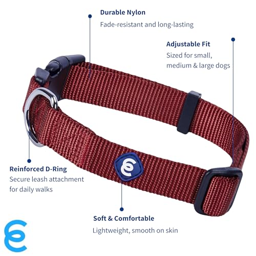 Essentials X Small Dog Collar (X-Small / Fired Brick)