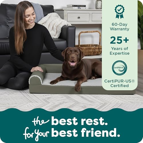 Cooling Gel Dog Bed for Large Dogs (Jumbo / (Two-Tone Faux Fur & Suede) Dark Sage)