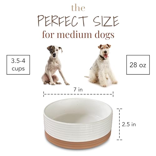 Ceramic Pet Bowl Size Medium (Medium / Vanilla White)