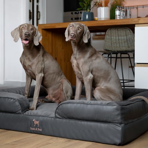 XXL Dog Bed Orthopedic Memory Cooling Foam (Charcoal - LE / XX-Large)