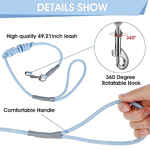 Cat Harness and Leash Set (Sky Blue)