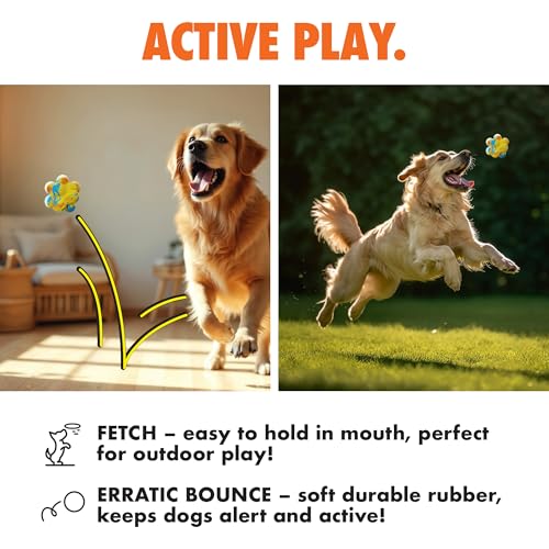 Max Fusion Pop It Dog Toy