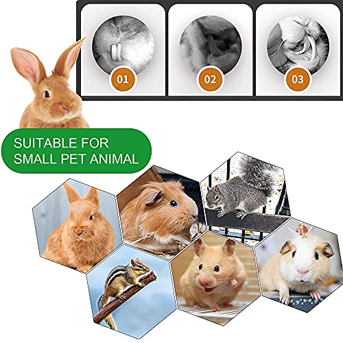 Rabbit Toys 3 Types Hamster Chew Toys for Teeth Grinding (15Pcs)