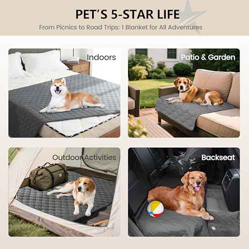 Waterproof Blanket for Dogs (40x50 Inch (Pack of 1) / Dark Grey)