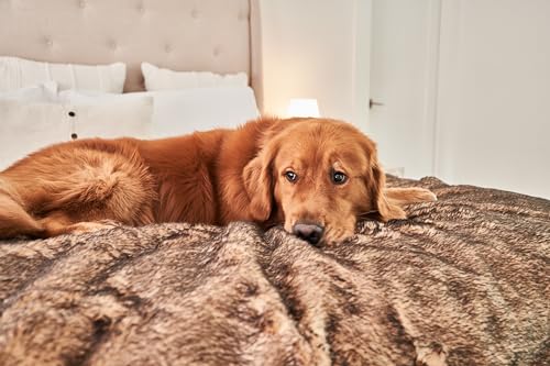 PupProtector Waterproof Throw Blanket (Sable Tan / Large (80" L x 62" W))