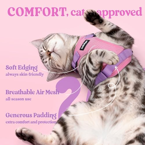 Cat Harness and Leash Set (M / Pink & Light Purple)