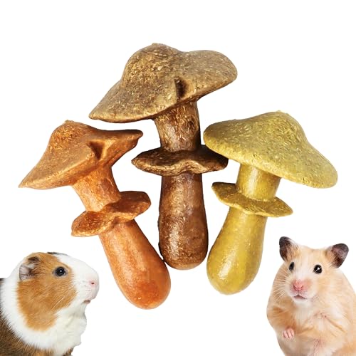 3PCS Guinea Pig Chew Toys (3PCS-Mushrooms)