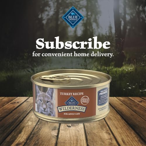 Wilderness Turkey Paté Adult Wet Cat Food (24)