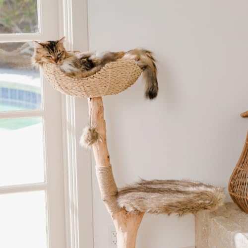 Mau Modern Wood Cat Tree Tower with Scratching Post (Brown)