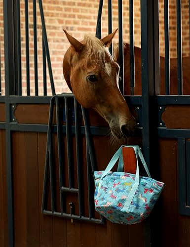 Horse Grooming Kit (Blue)