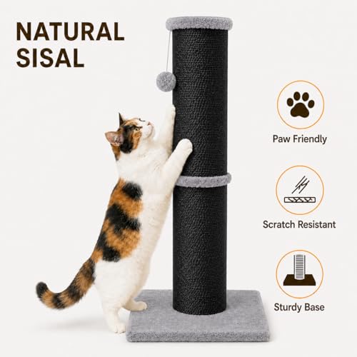 32 Inch Tall Cat Scratching Post (X-Large / Black)