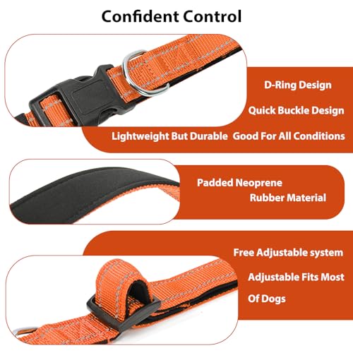 Reflective Dog Collar (Orange / XS:width 5/8"neck 8-10.5")