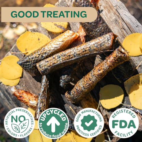 Smoked Salmon Skins Healthy Dog Treats (4 Ounce (Pack of 1))