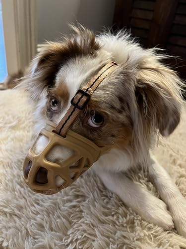 Basket Dog Muzzle for Large Medium Small Dogs German Shepherd (X-Small / Black)