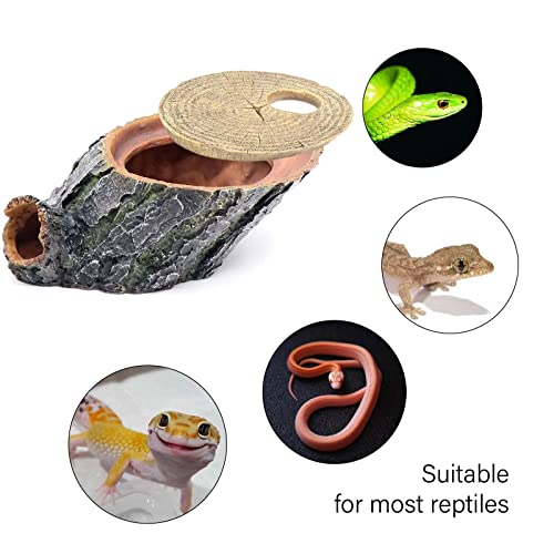 Snake Hide and Basking Tree Roots Cave for Terrariums (Medium)