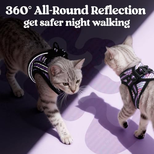 Cat Harness and Leash Set (L / Stars & Stripes)