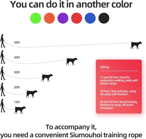 Dog Puppy Obedience Recall Training Agility Lead (Military Green / 30 Feet)