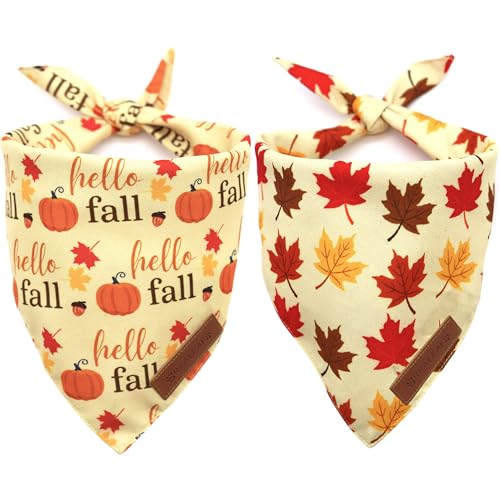 Fall Dog Bandanas 2 Pack (Autumn / Small)