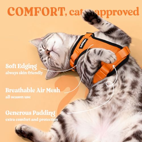 Cat Harness and Leash Set (M / Orange)