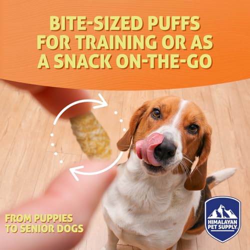 Barkeetos Crunchy Cheesy Dog Snacks (3 Ounce (Pack of 1))