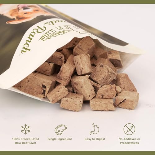 Superfood Bite Beef Liver Dog Treats (4 Ounce (Pack of 4))