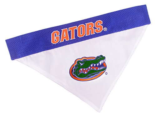 Collegiate Pet Accessories (Large/X-Large / Florida Gators)