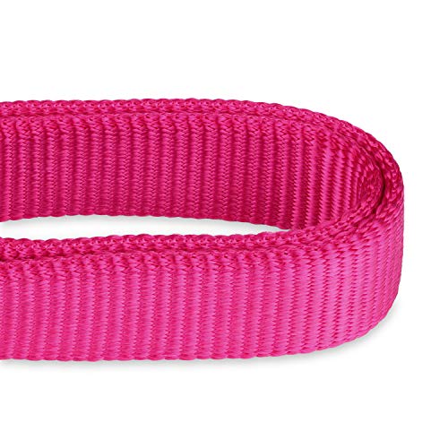 Martingale Dog Collars for Medium Dogs (Medium / Rose Red)
