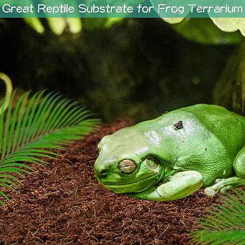 6 Pack Compressed Coconut Fiber Substrate for Reptiles (6 pack)