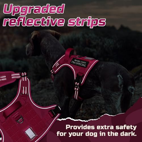 Tactical Dog Harness for Medium (Rose Red / Medium)