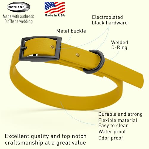 Biothane Waterproof Dog Collar Strong Coated Nylon Webbing with Black Hardware Odor (W1/2" x L9-12" / Treasure Gold)