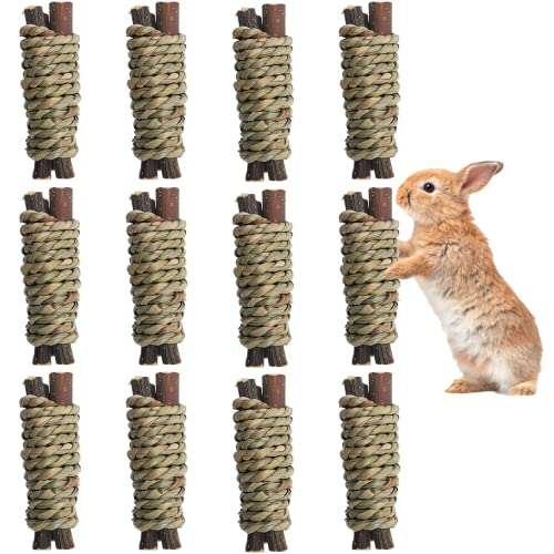 12 PCS Guinea Pigs Chew Toys