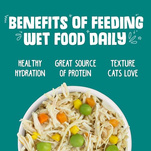 Classic Cat Food (3 Ounce (Pack of 24))