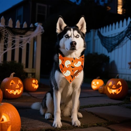Halloween Dog Bandanas 2 Pack (Halloween / X-Large)
