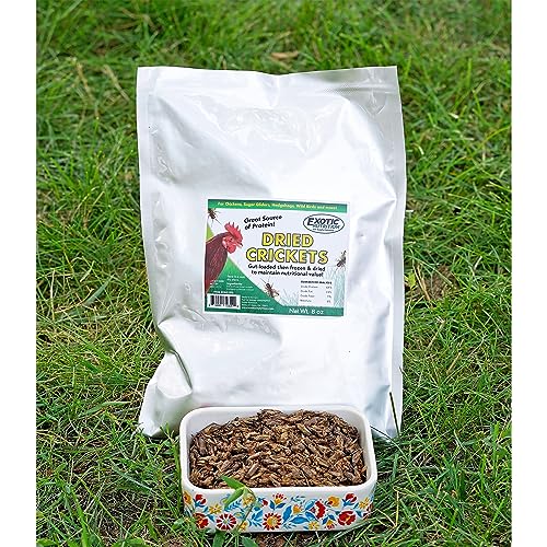 1 2 Pound Dried Crickets