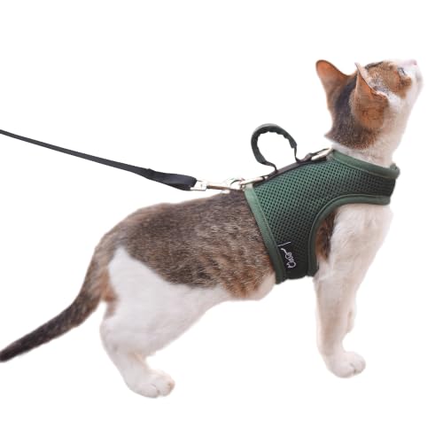 Cat Harness and Leash Set for Walking Escape Proof (Green / S 4-6 lbs)