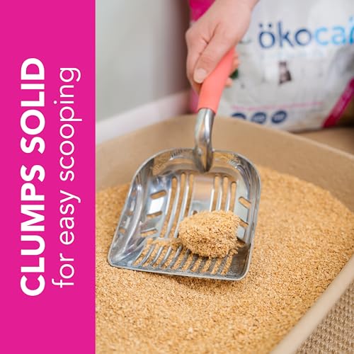Super Soft Natural Wood Clumping Cat Litter (22 lbs / Super Soft)