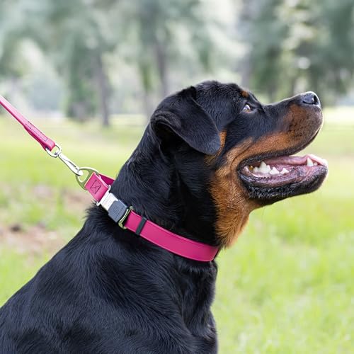 Biothane Waterproof Dog Collar with Herm Sprenger Black Stainless Steel Quick Release Buckle (W 3/4" x L 12"-19" / Magenta Pink)