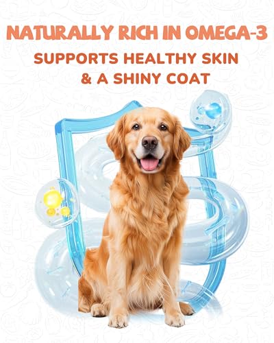 Freeze Dried Salmon Dog Treats