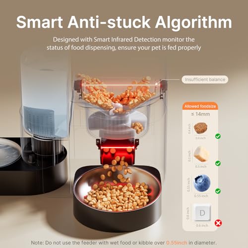 Automatic Cat Feeder and Water