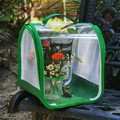 Small Butterfly Habitat