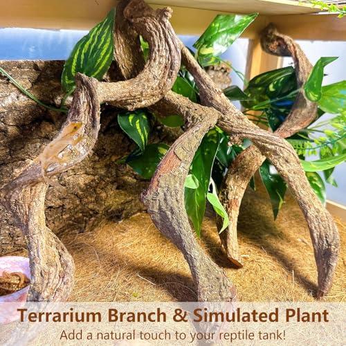 4PCS Natural Reptile Climbing Branches Decor (4PCS|S:0.75-1.25"T,13"H)