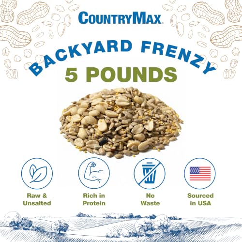 Backyard Seeds 5LB Backyard Frenzy Wild Bird Seed Blend (Backyard Frenzy / 5 Pound (Pack of 1))