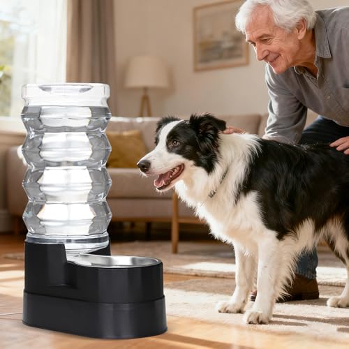 9L Elevated Dog Water Dispenser (9L / Jet Black)