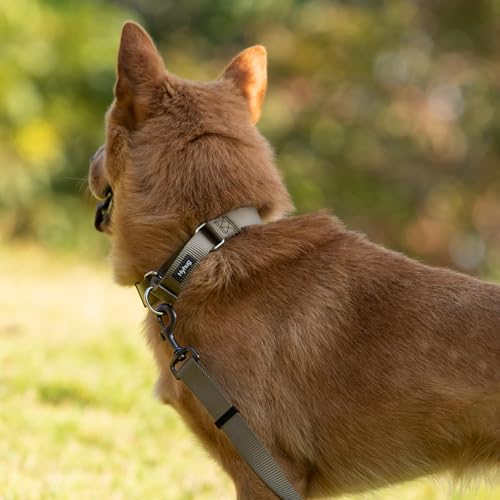 Martingale Collar for Dogs Small Green (Small / Military Green)