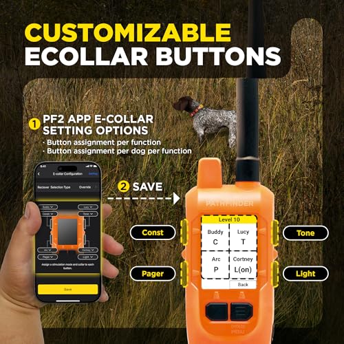 PATHFINDER2 Compass Live GPS Dog Tracking & Training System (Pathfinder 2 Compass / 35 lbs and up)