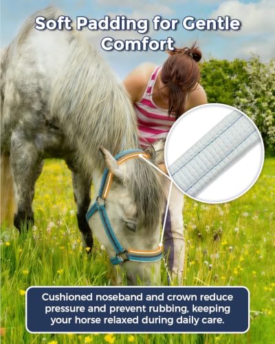 Adjustable Horse Halter (BLUE / Full)